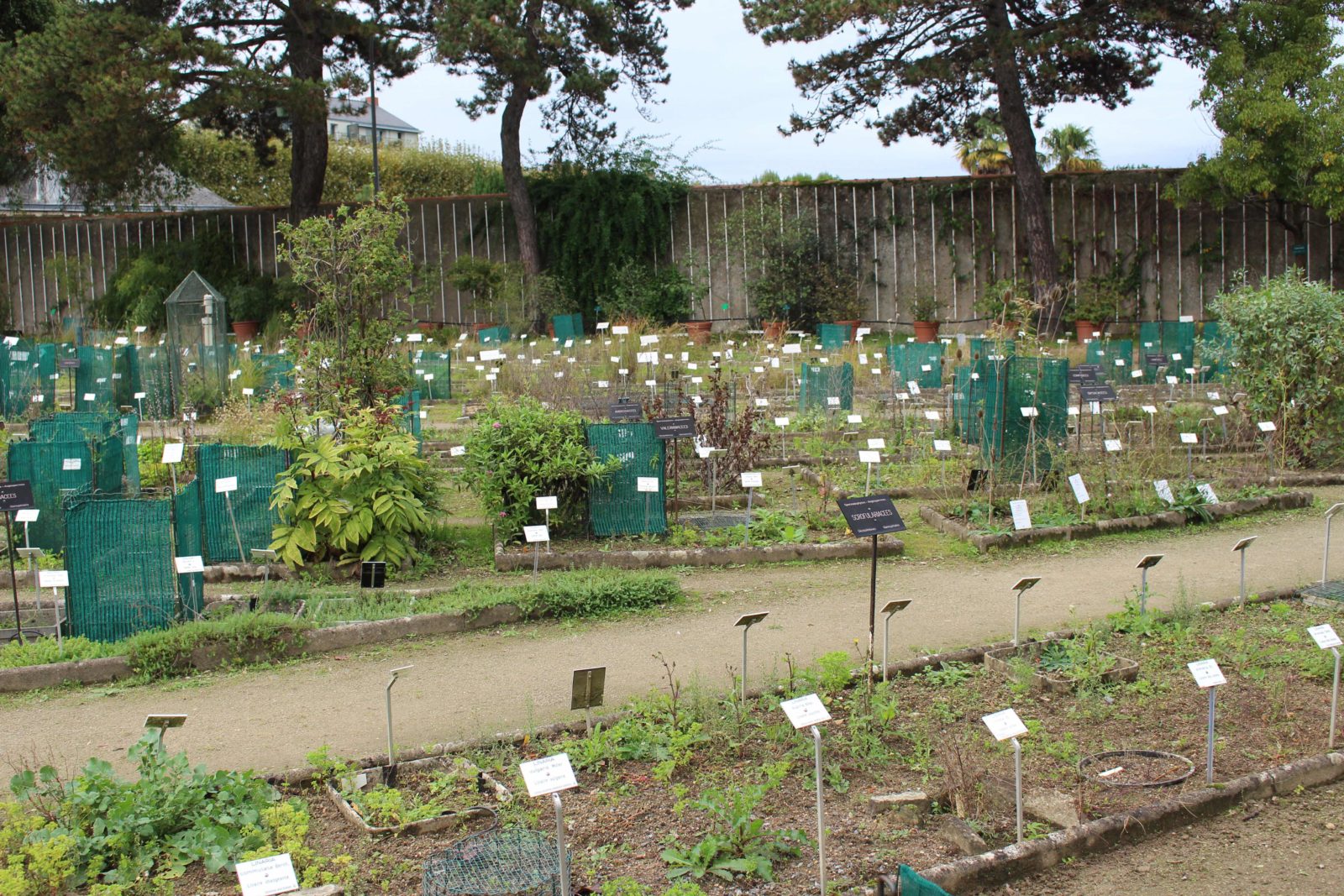 Nantes plantations Jardin des plantes