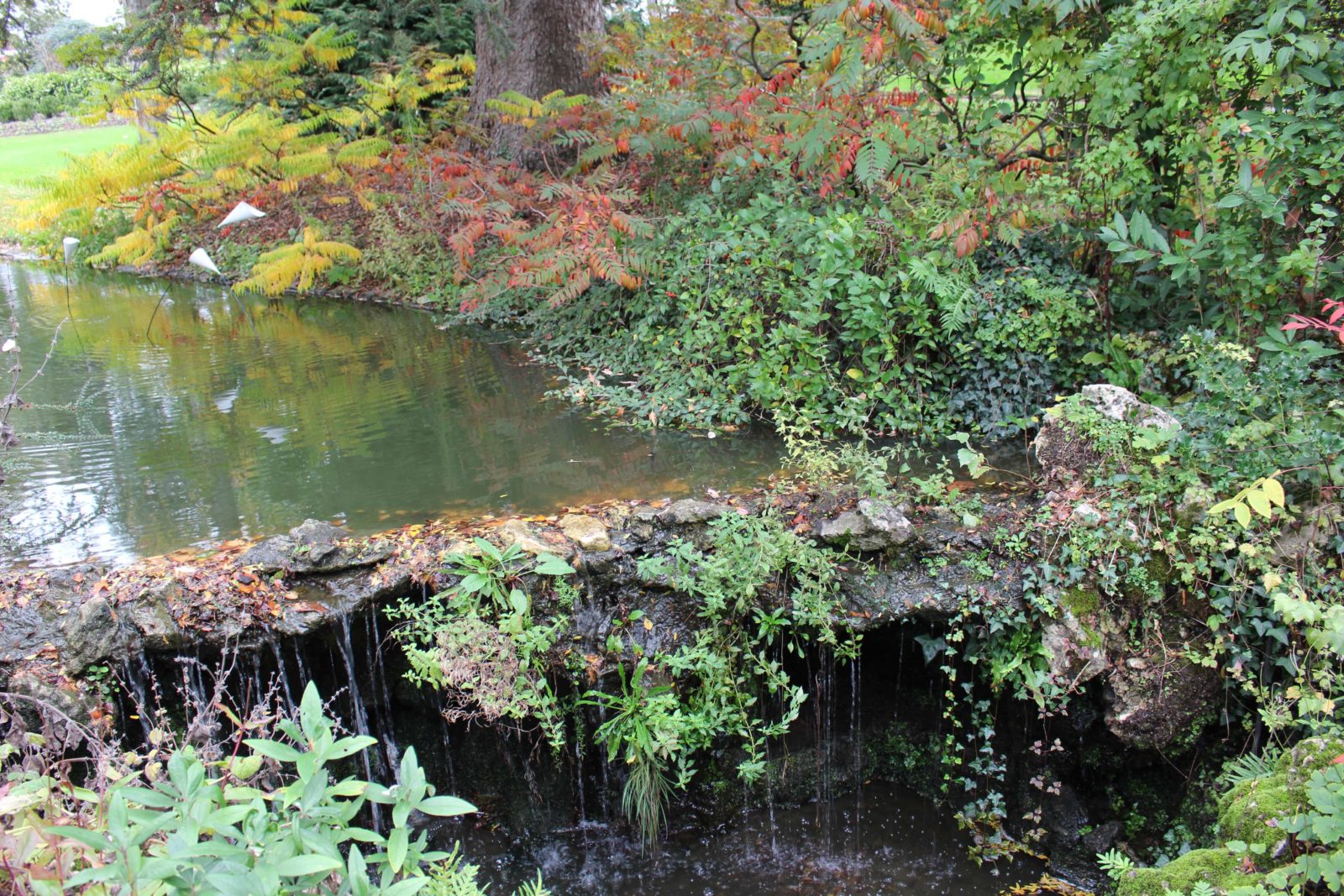 Nantes cours d'eau Jardin des plantes