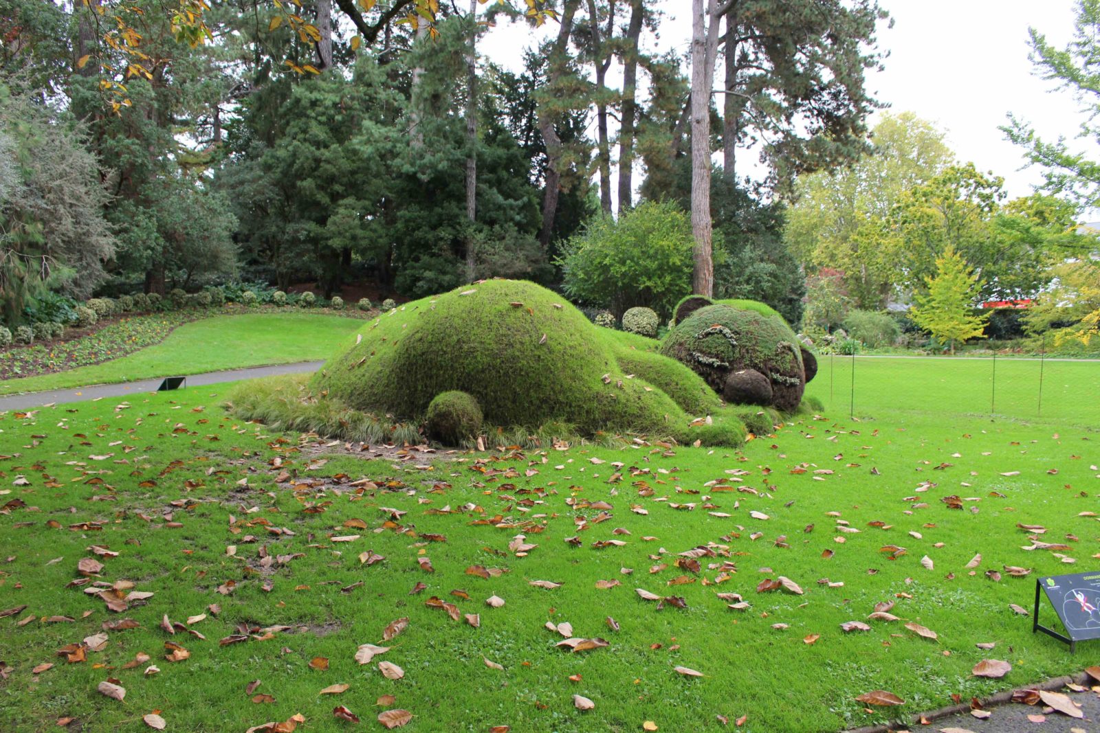 Nantes ours géant Jardin des plantes