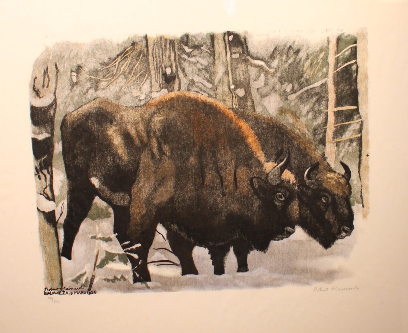 Galerie de la Tine, Troistorrents - Robert Hainard Bisons