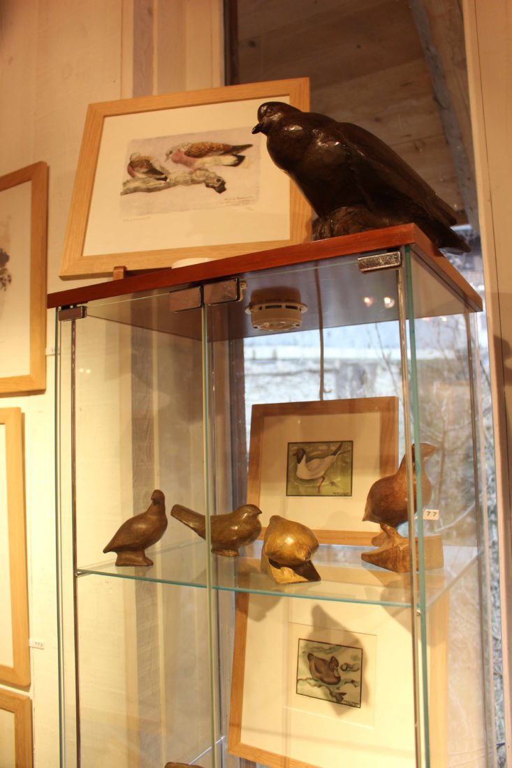 Galerie de la Tine, Troistorrents canards et oiseaux Robert Hainard