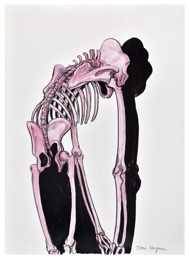 Tomi Ungerer. Sans titre.