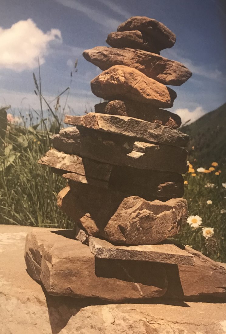 Le guide Via Alpina - la flore