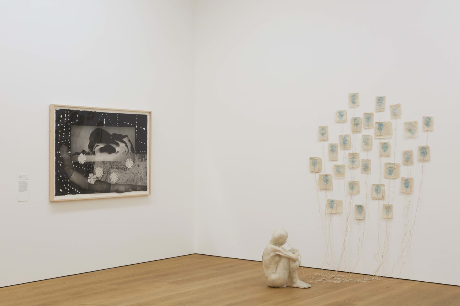 Vue des salles /Kiki Smith Peacock 1994