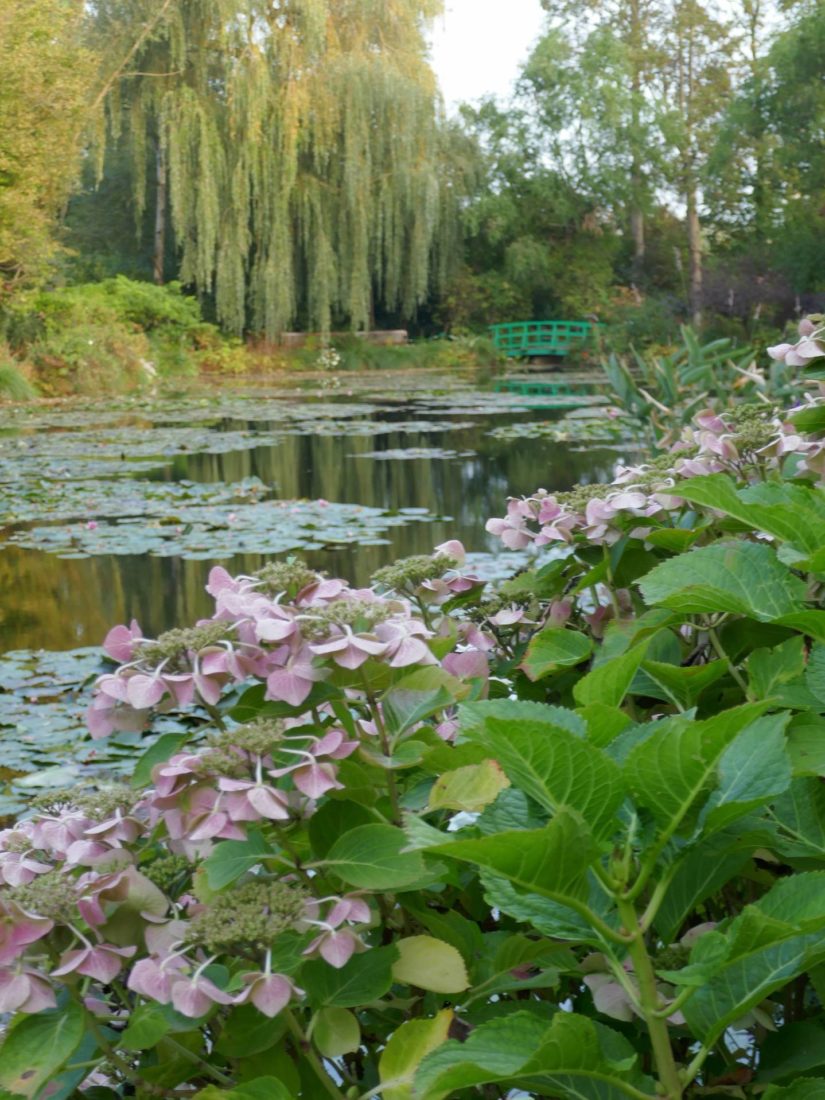 étang et nénuphars jardin  de Claude Monet à Giverny