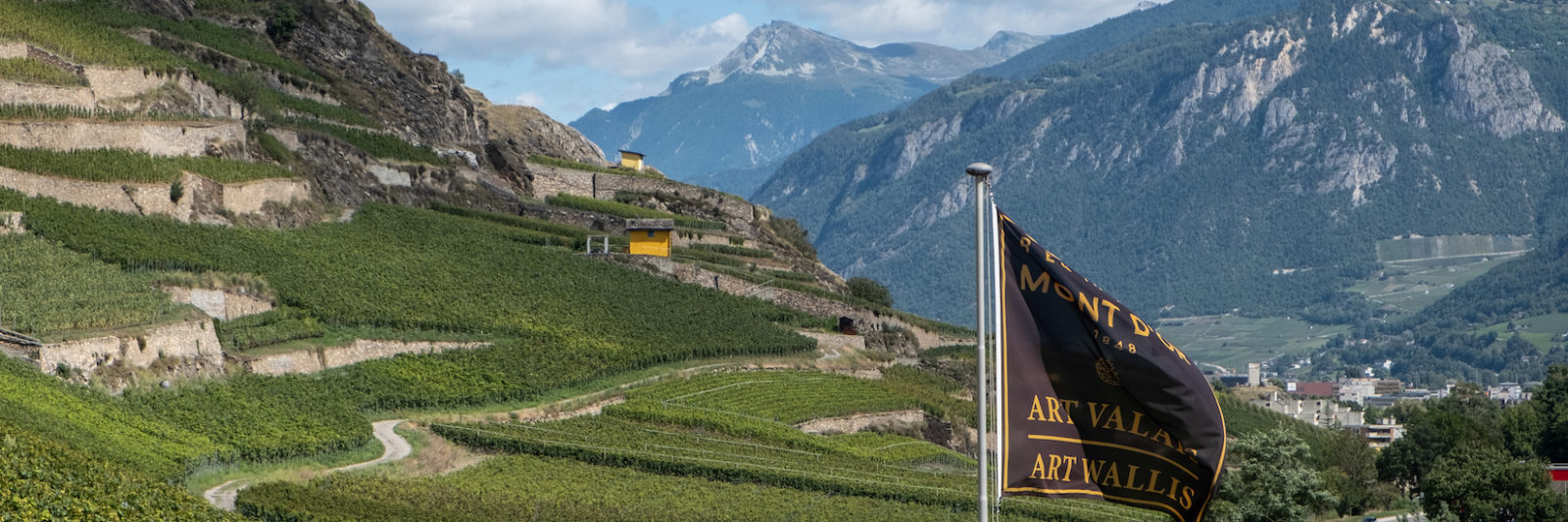 Art Valais Wallis -Domaine du Mont d’Or à Sion