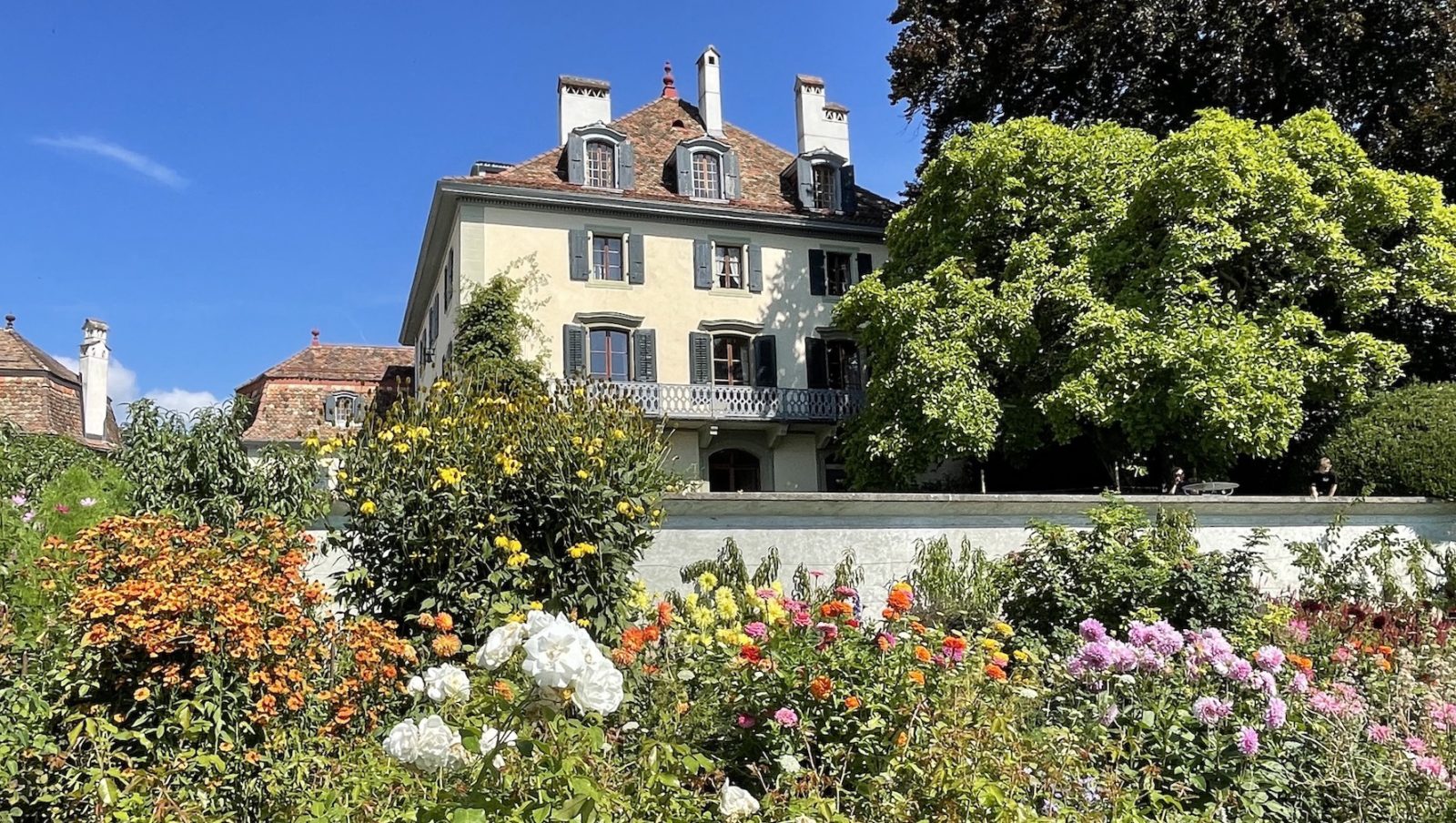 Domaine de La Doges coté sud