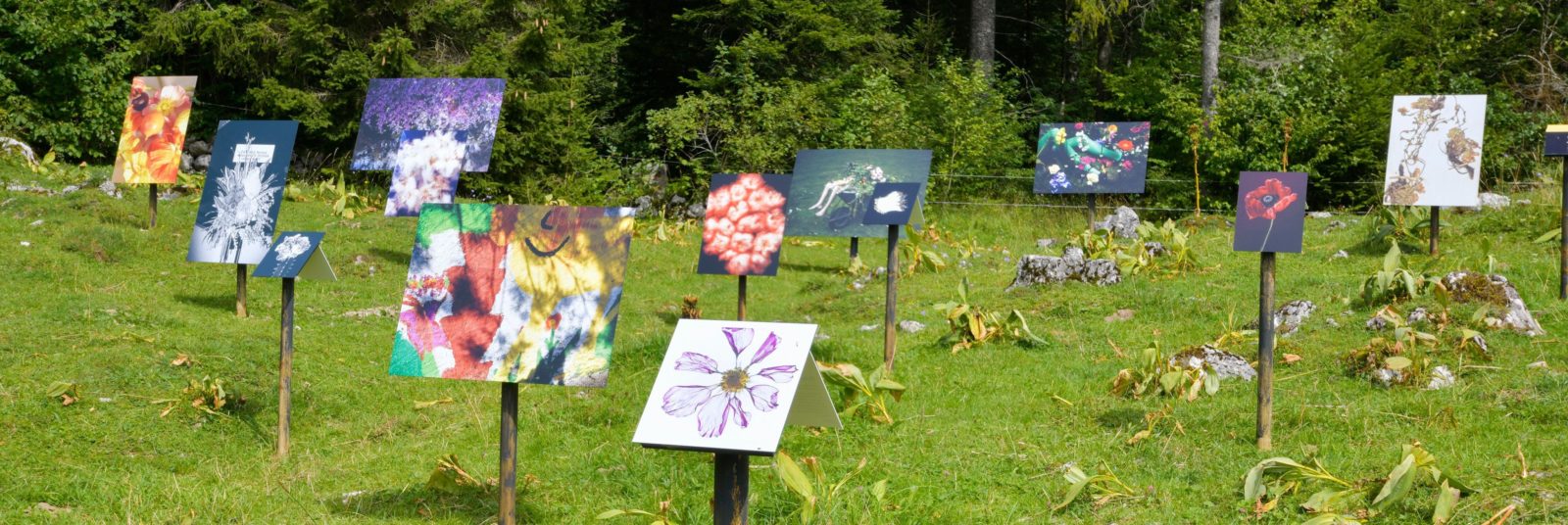 2021
Festival de photographie Alt.+1000
