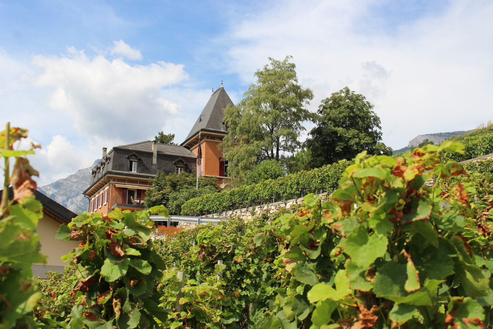 Domaine du Mont d'Or, Sion