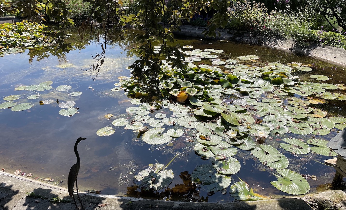 Domaine de La Doges pièce d'eau 