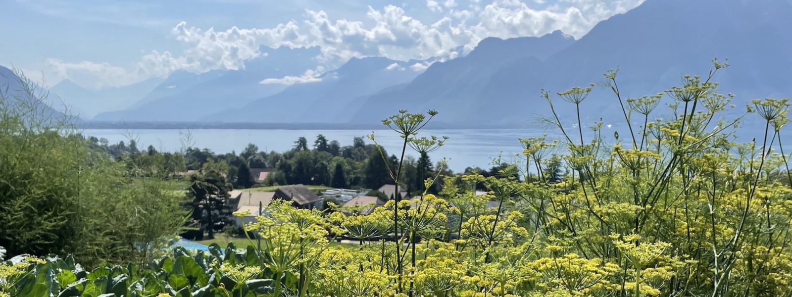 Domaine de La Doges vue sur le lac et montagnes 