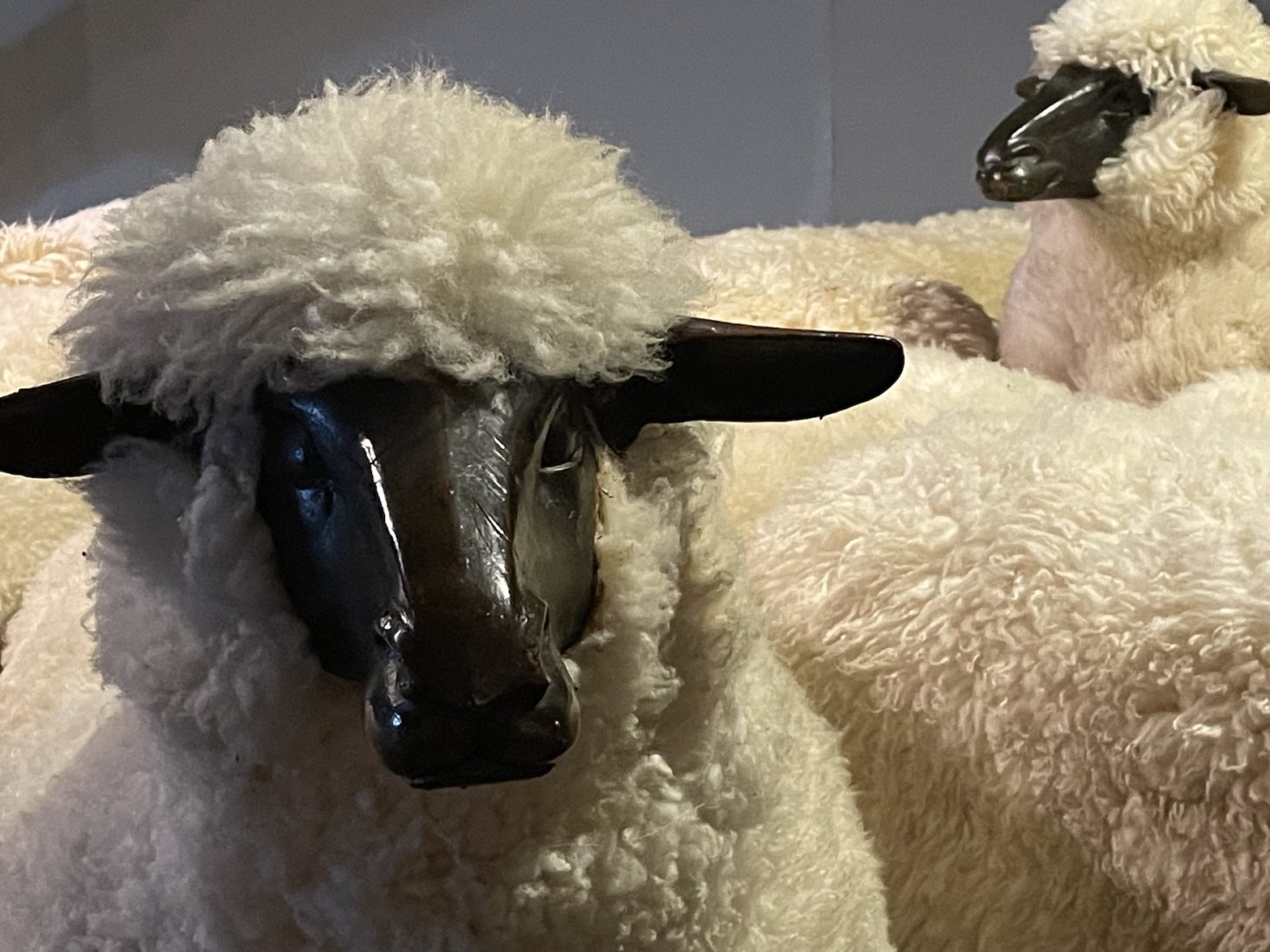 François-Xavier Lalanne
Moutons avec tête