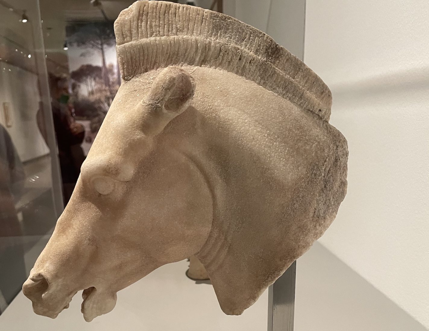 Anonyme Tête de cheval,