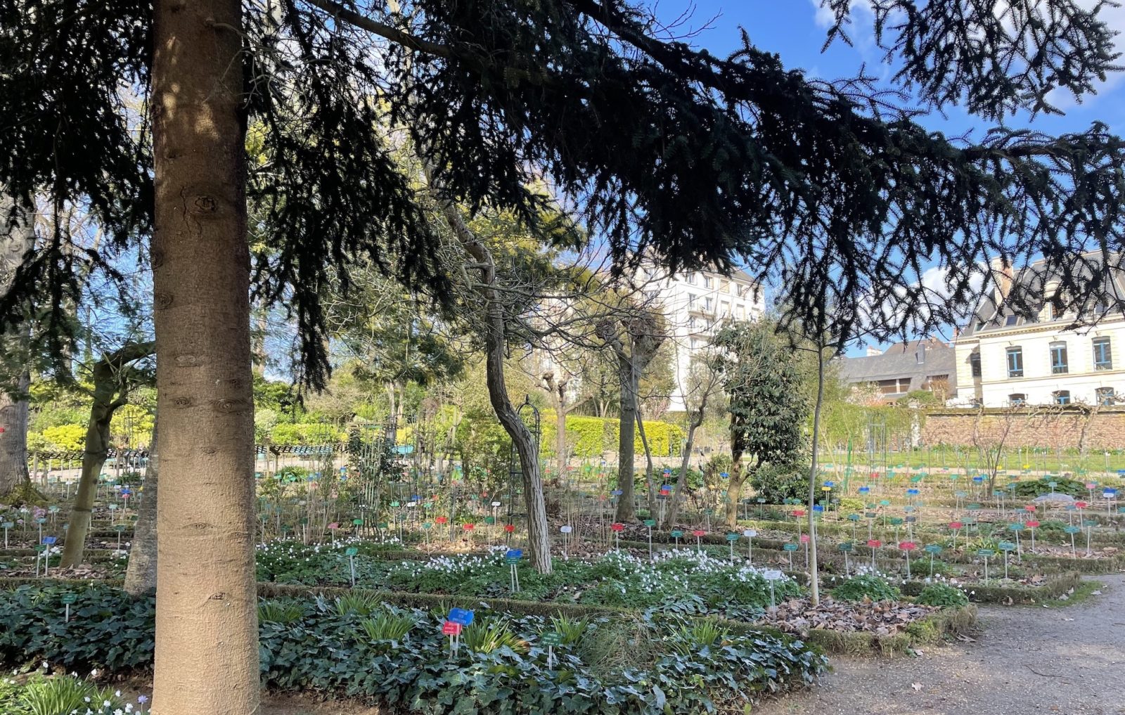 Rennes jardin botanique du Parc du Thabor