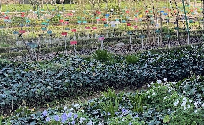 Rennes étiquettes jardin botanique parc du Thabor