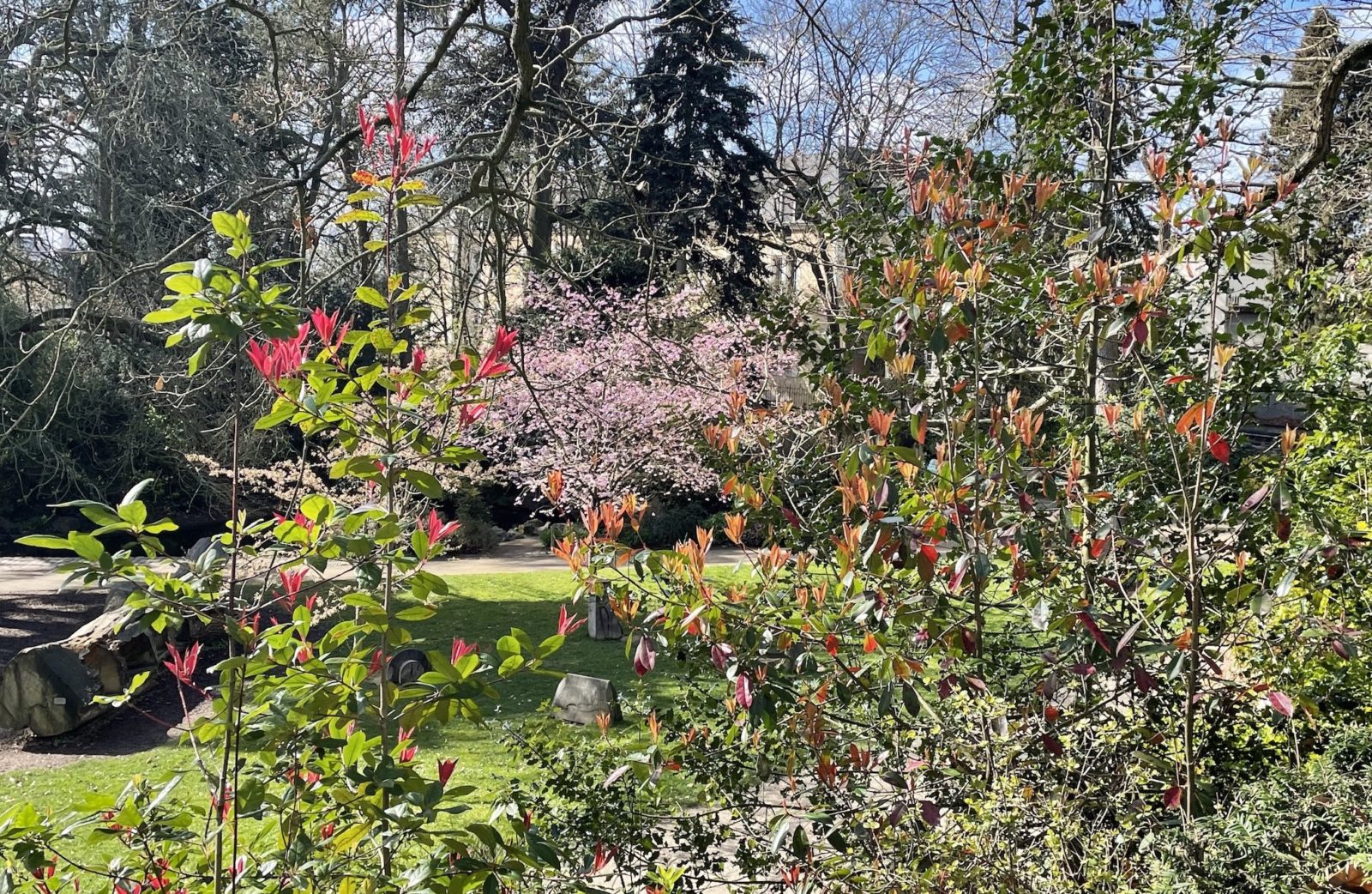 Rennes le parc du Thabor fleuri