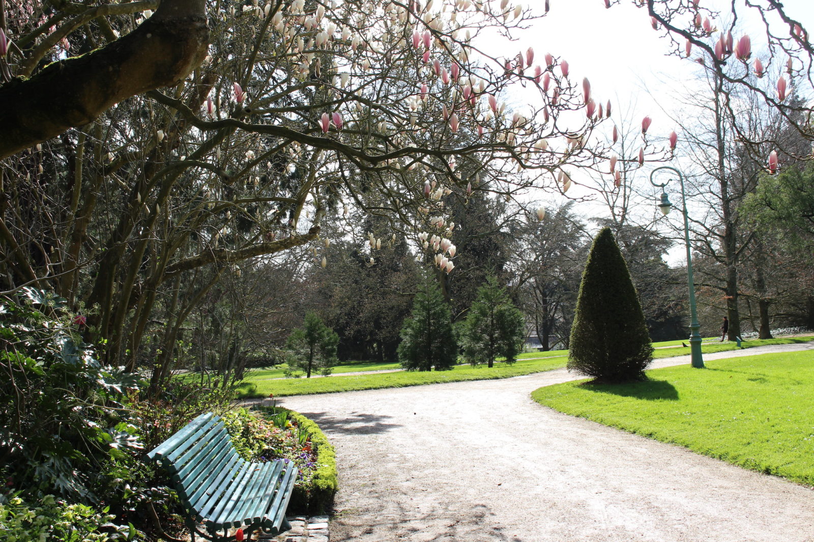 Rennes ~ allée du Parc du Thabor