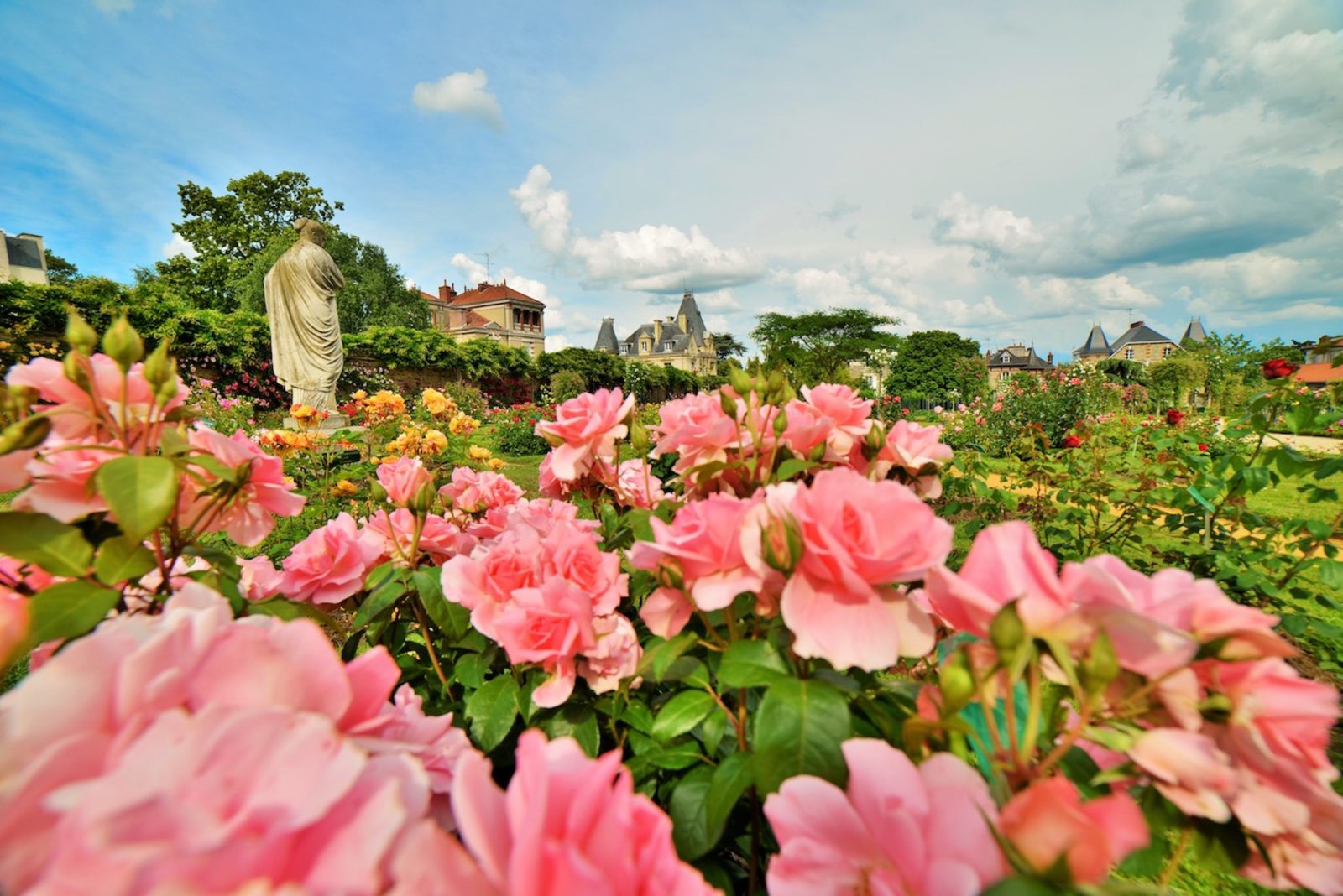 rennes Les roses du Thabor