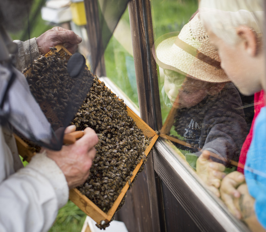 Fête de la Nature Cernier 2019