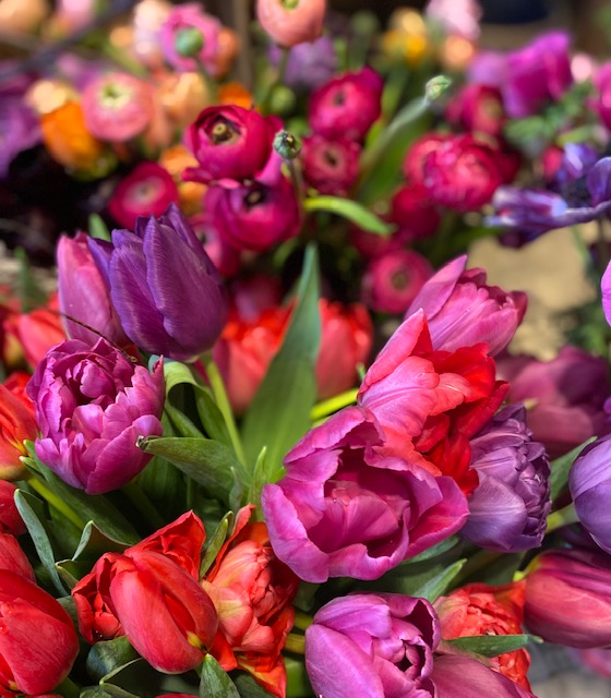 Boutique Flora Lausanne explosion de couleurs