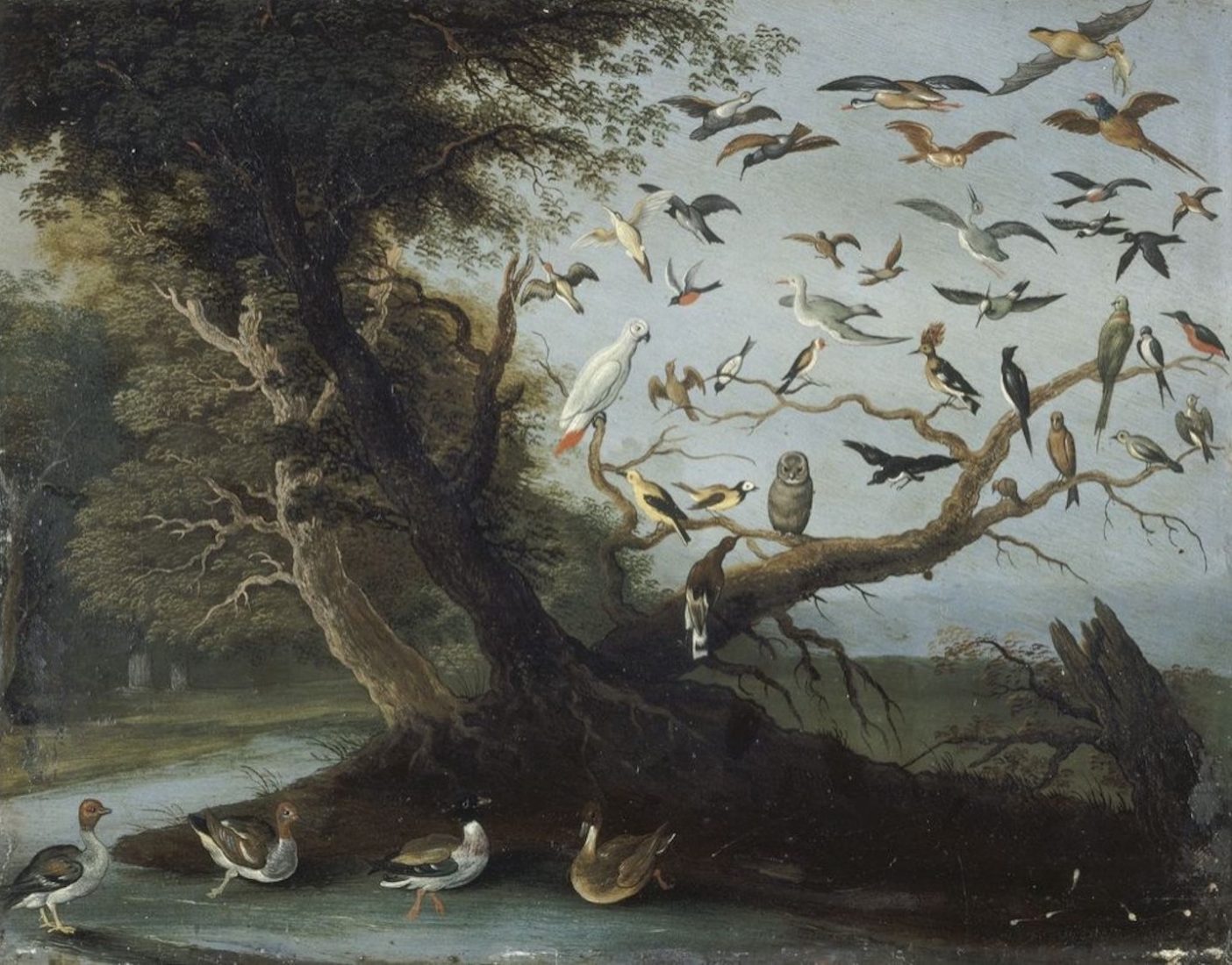Jan I Van Kessel (1626 - 1679) "L’arbre aux oiseaux",