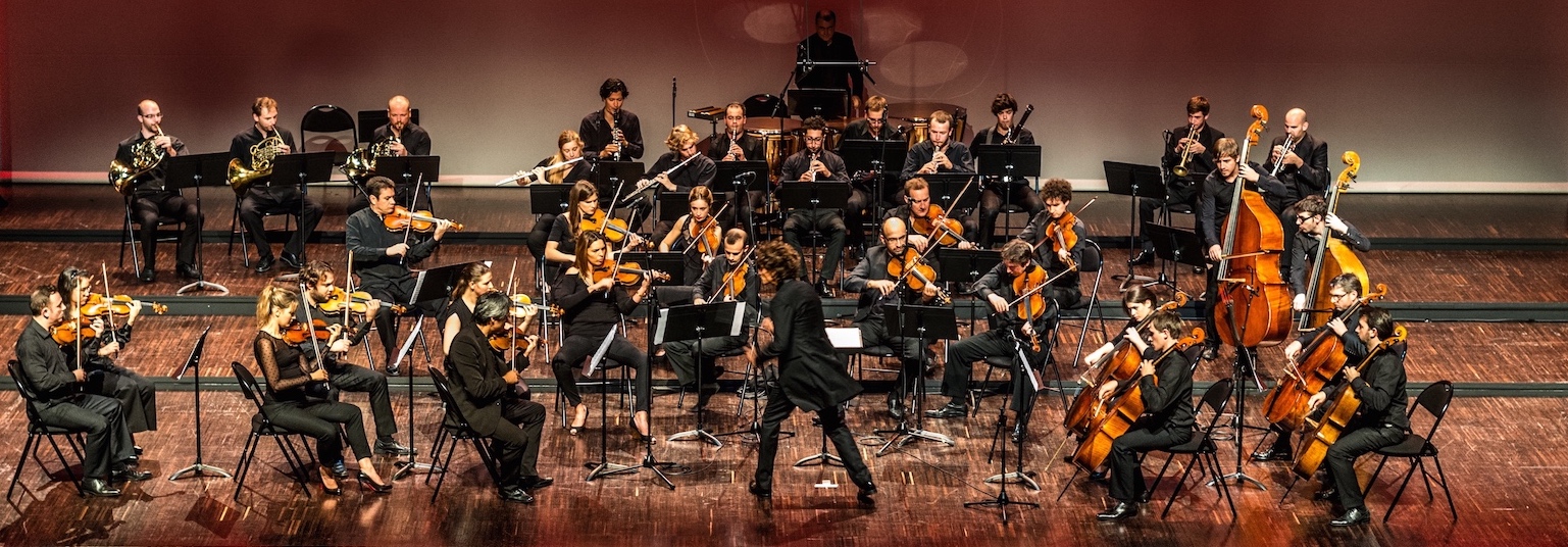 Variations musicales de Tannay  Orchestre De Chambre Nouvelle Europe
