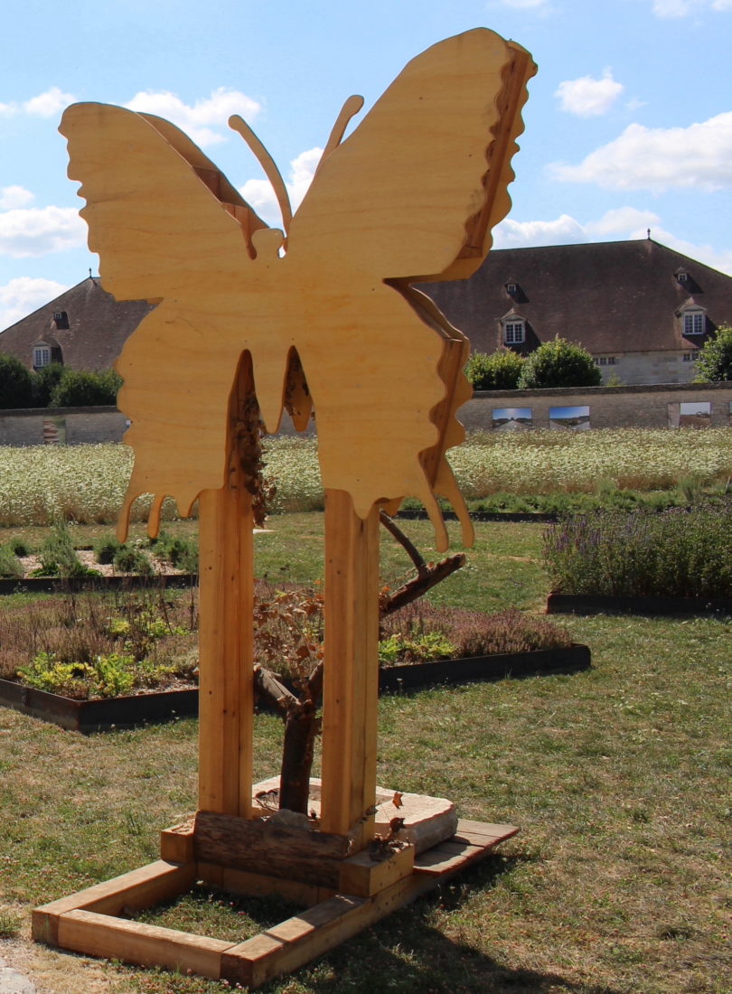 Saline royale d'Arc-et-Senans jardin  papillon