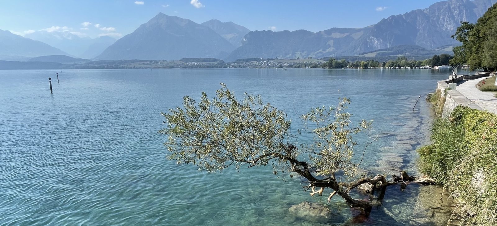 Lac de Thoune au pied du château de Schadau