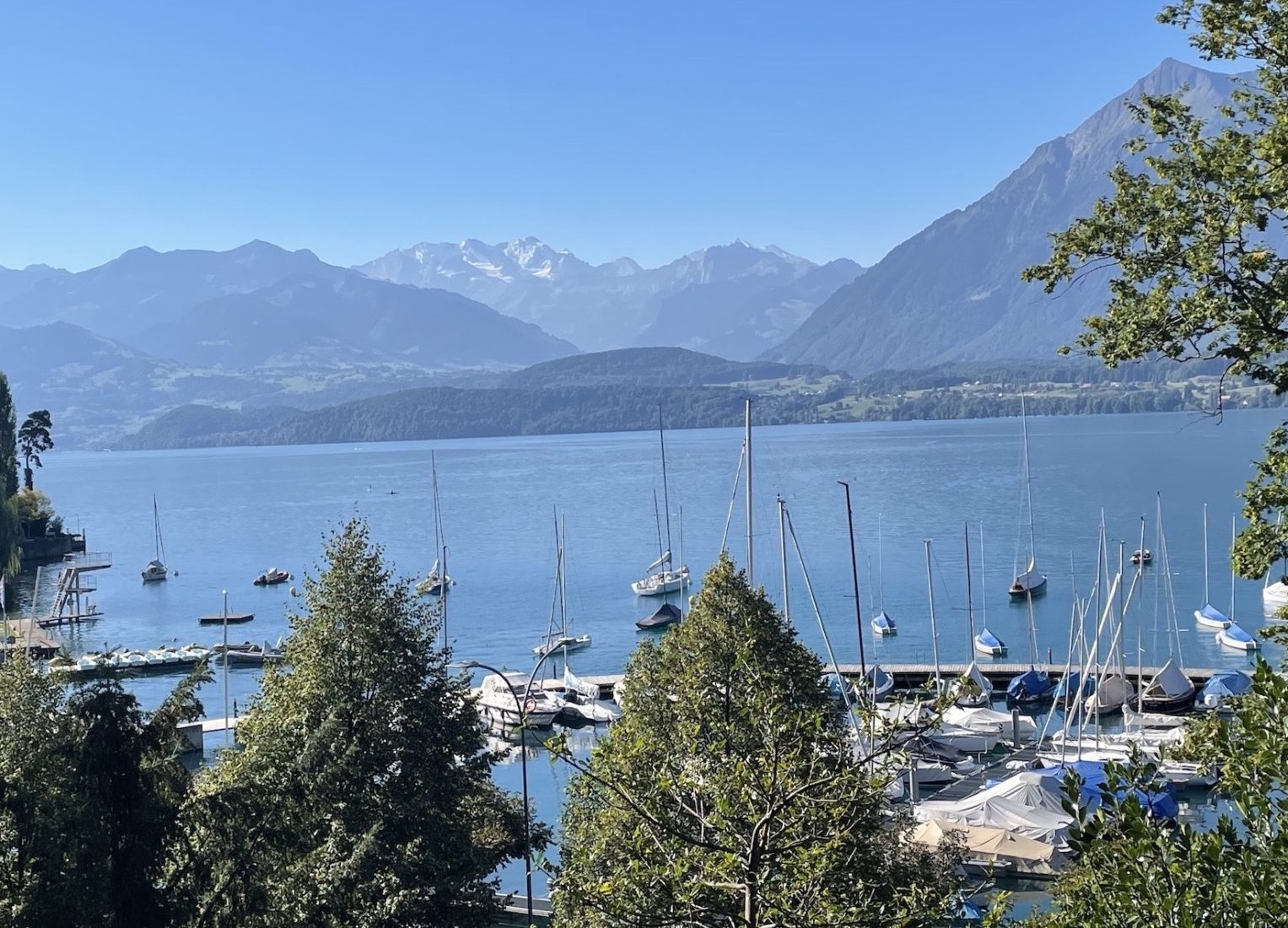 vue sur le Lac de Thoune,  Oberhofen