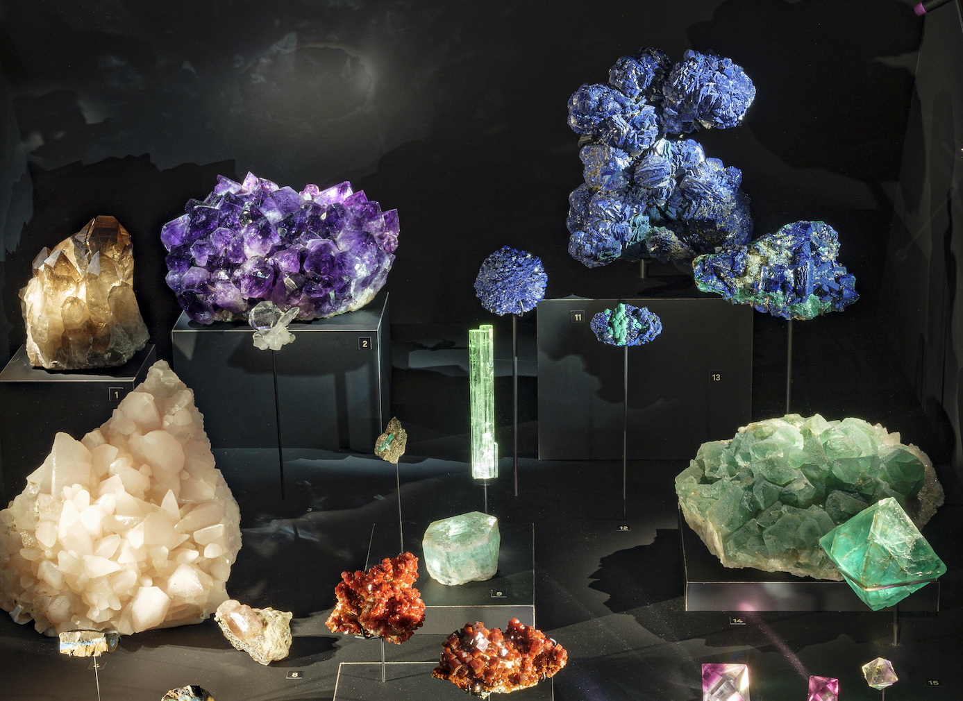 Lyon Confluences Secrets de la Terre vitrine de minéraux