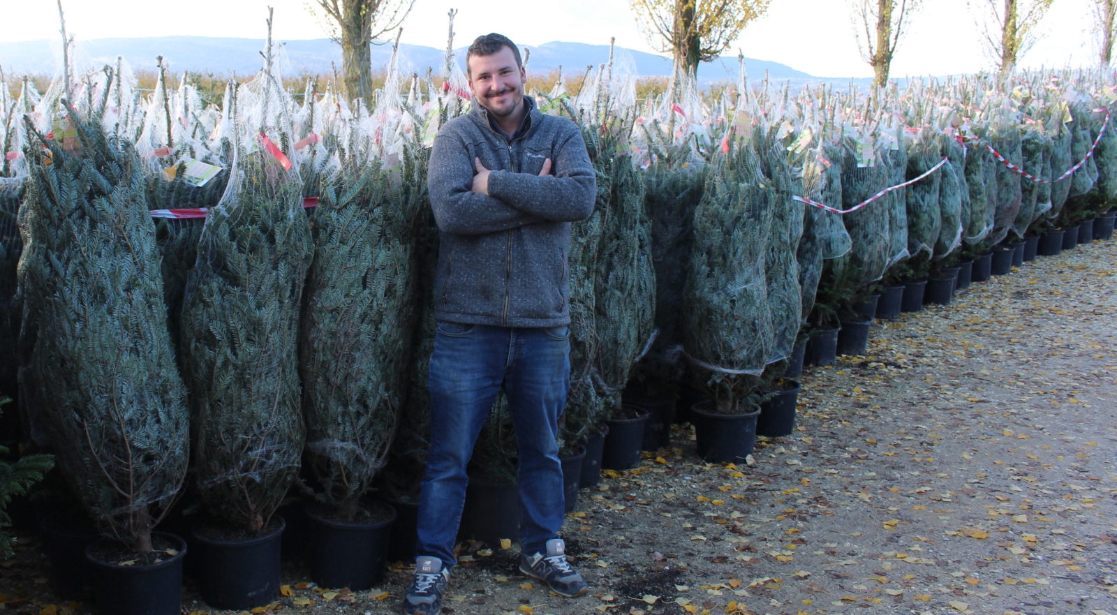 Ecosapin Julien Bugnon à Cottens