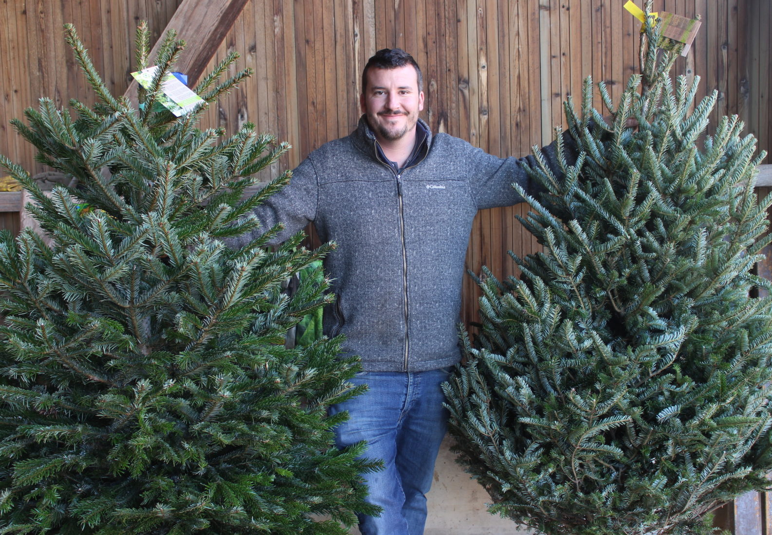 Cottens Ecosapin Julien Bugnon et deux sapins coupés