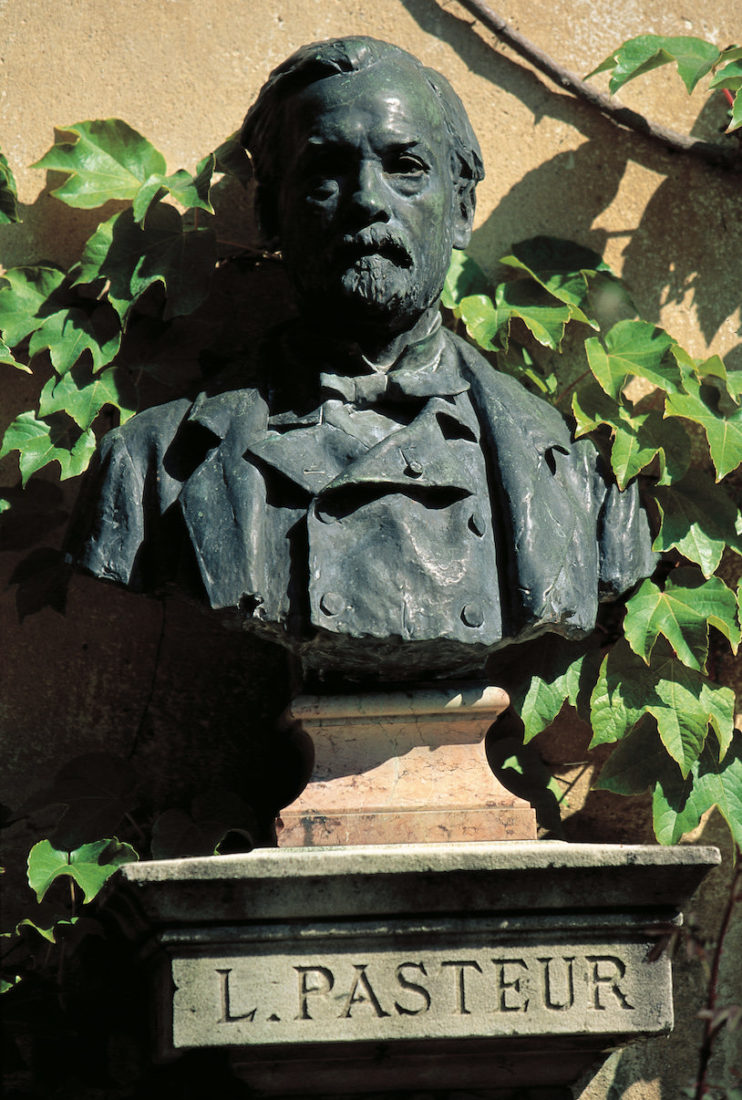 Statue Louis Pasteur Philippe Bruniaux 