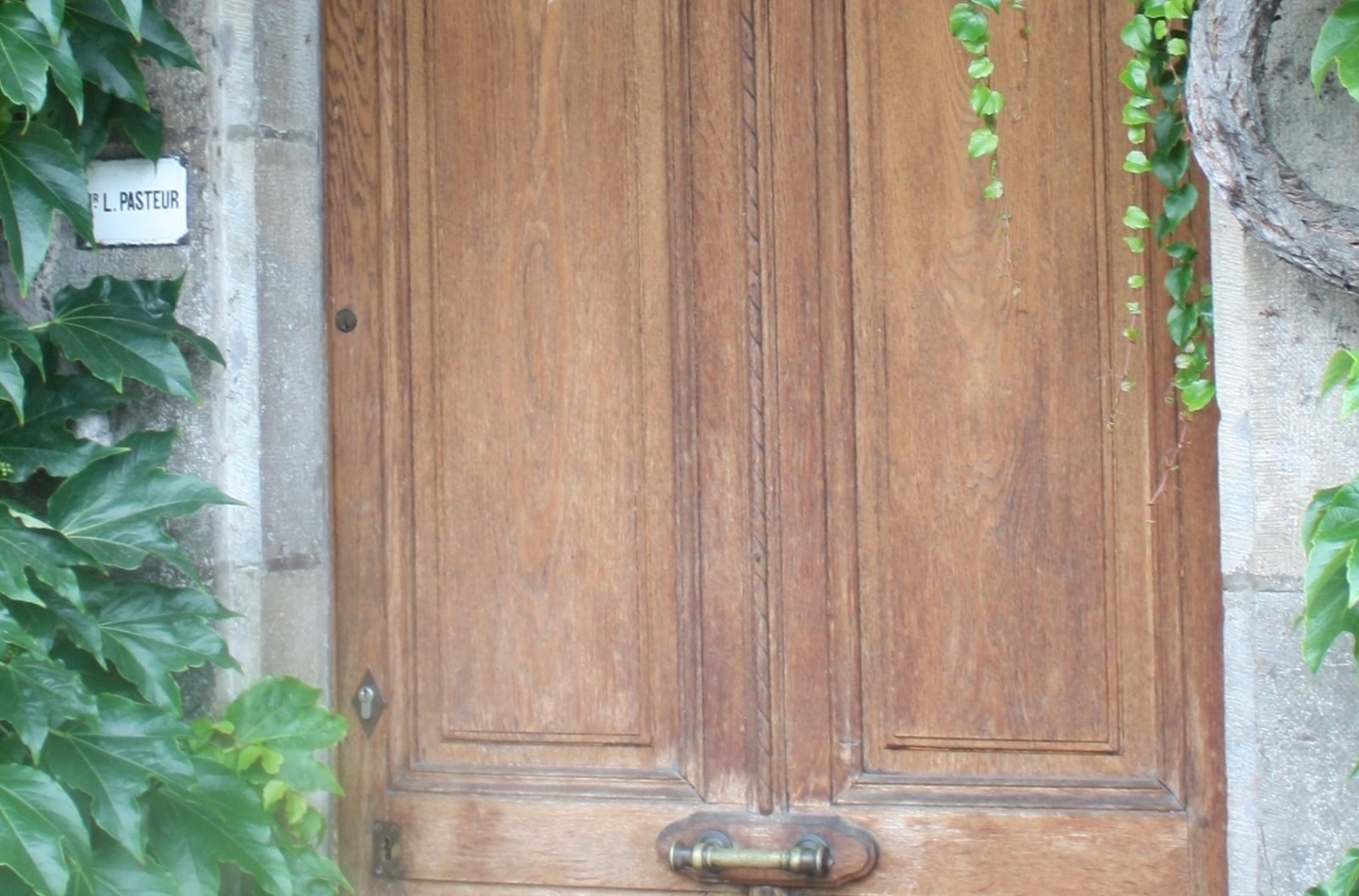 maison Louis Pasteur Philippe Bruniaux Bicentenaire