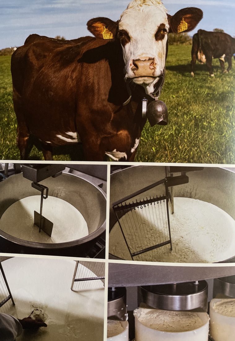 La cuisine du fromager vaches