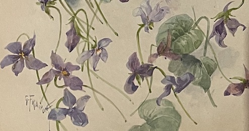 Colette. Pour Missy 1908 Détail violettes