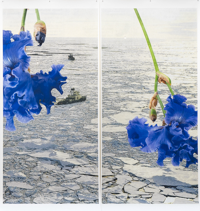 MCBA Lausanne Silvie Defraoui Polarmeer