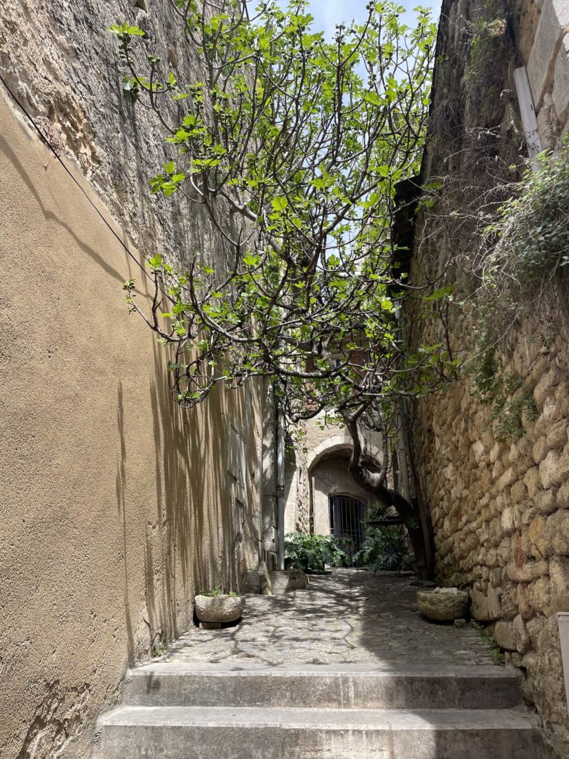 Ménerbes ruelle en calade