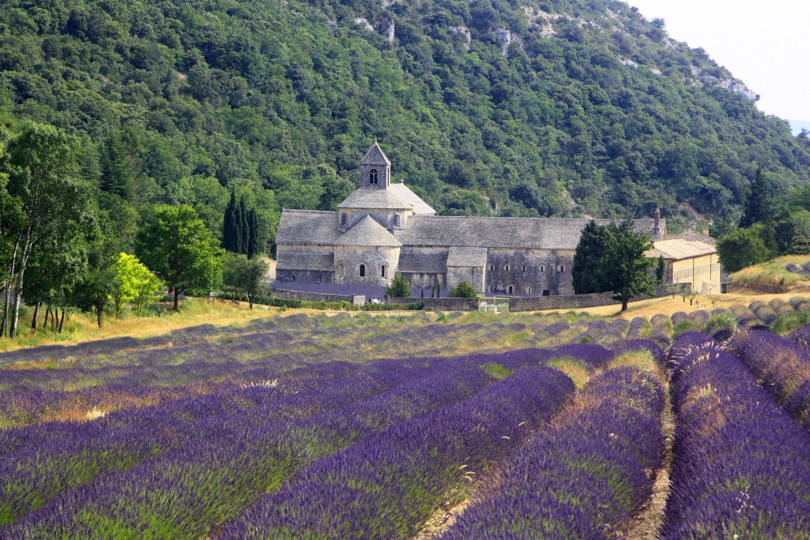 Abbaye de Sénanque