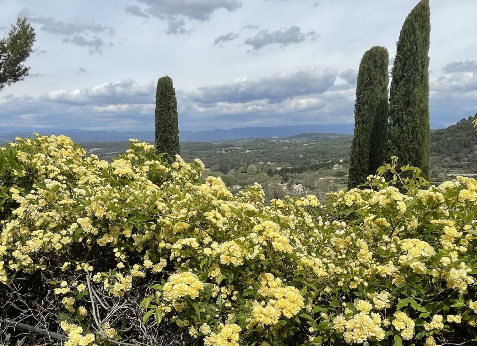 Ménerbes vue sur la vallée