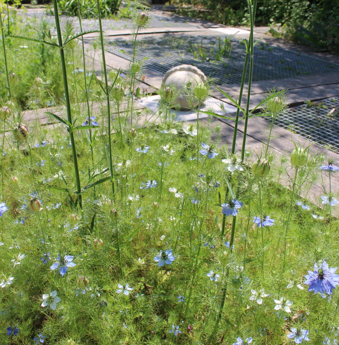 Arc-et-Senans Festival des jardins 2023 Graines