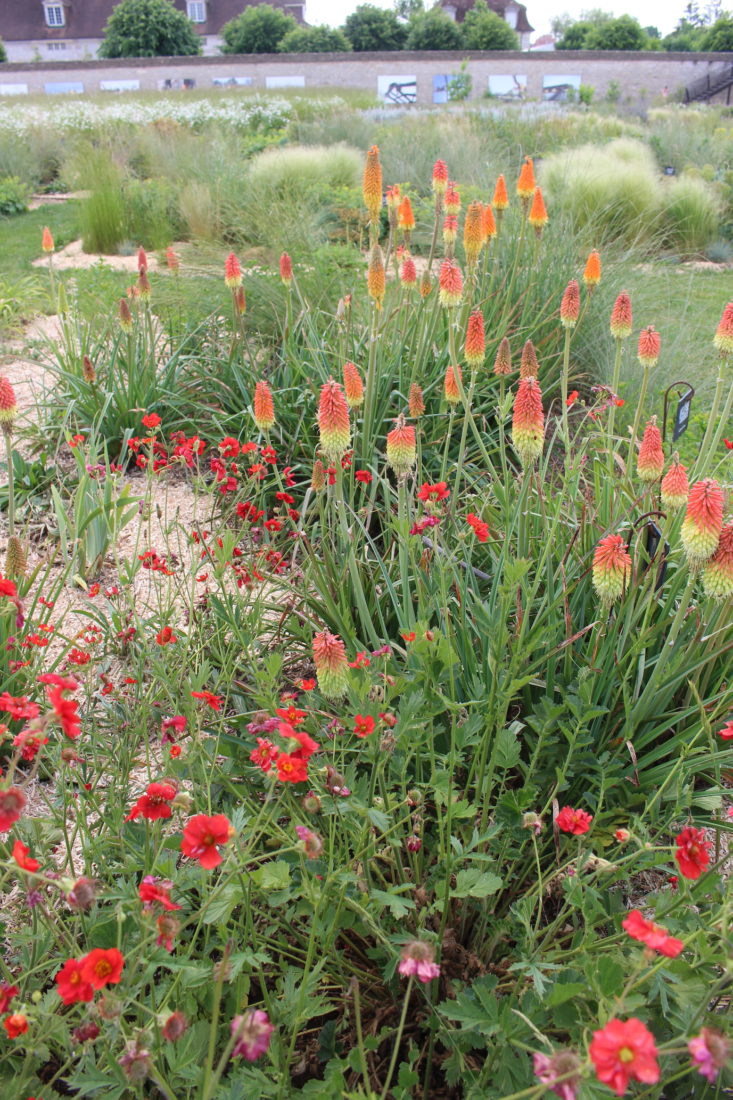 Arc-et-Senans Festival des jardins 2023 fleurs coquelicots