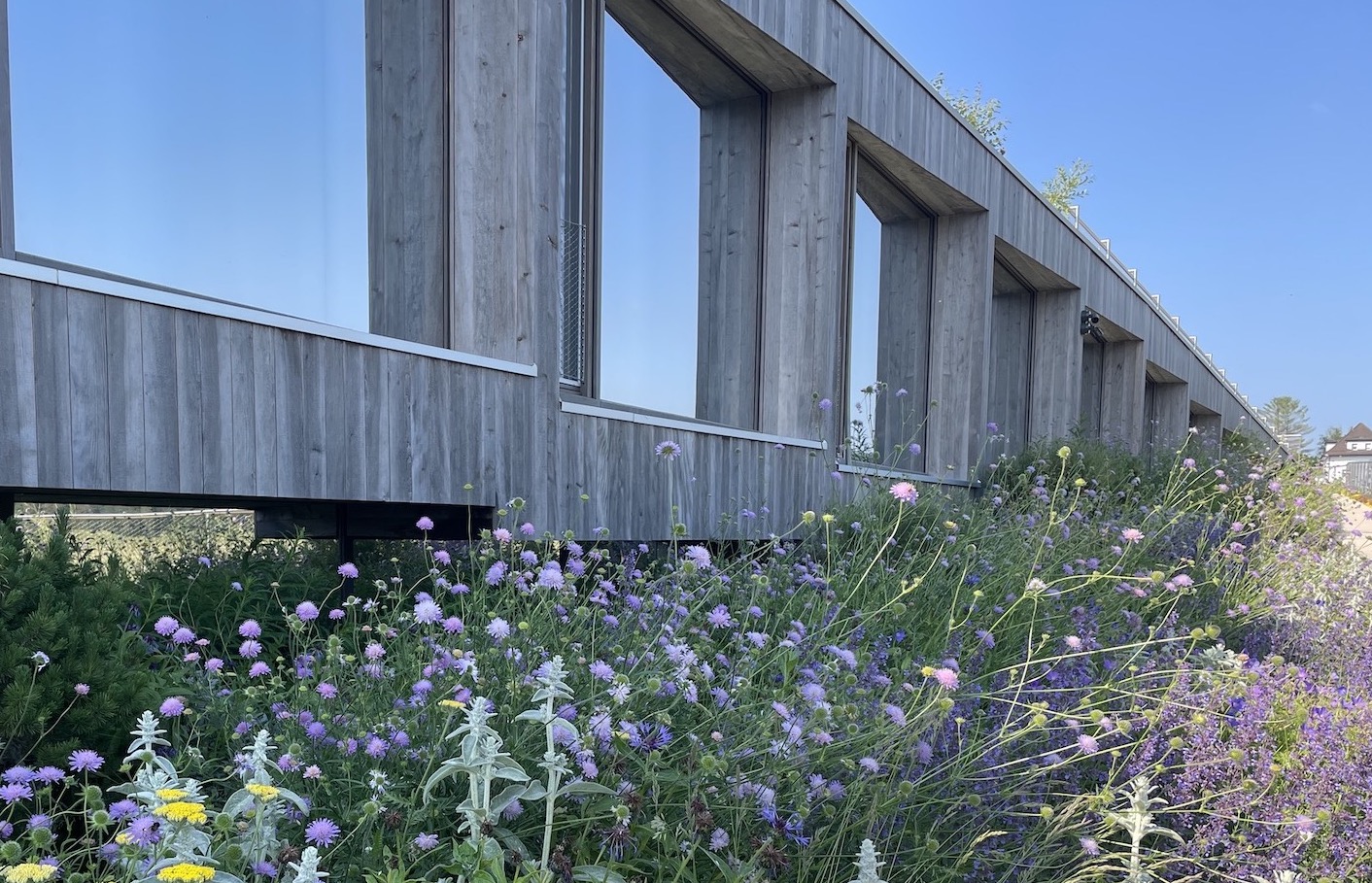 Hôtel des Horlogers le Brassus côté forêt