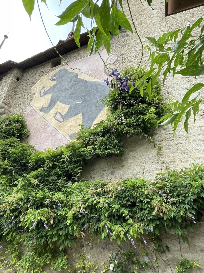 Château de Lucens Ours bernois