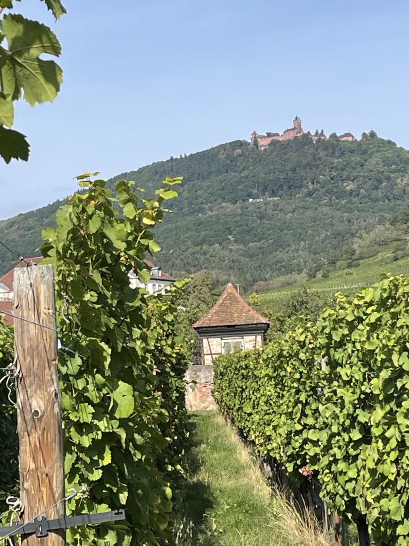 Haut Koenigsbourg