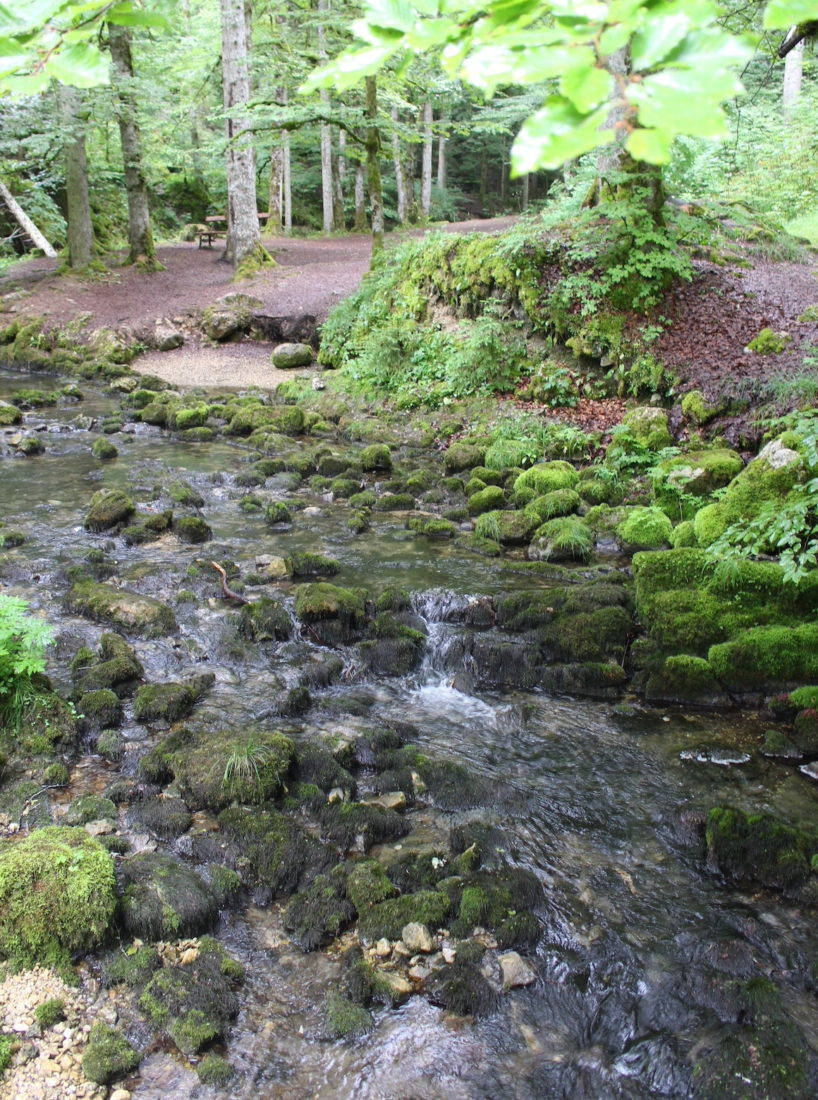 Saint-Point Chemin vers La Source bleue