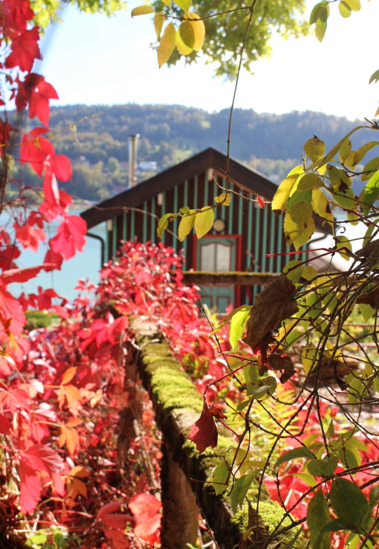 Port-Titi en automne