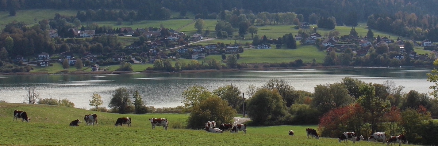 Haut Doubs prairies