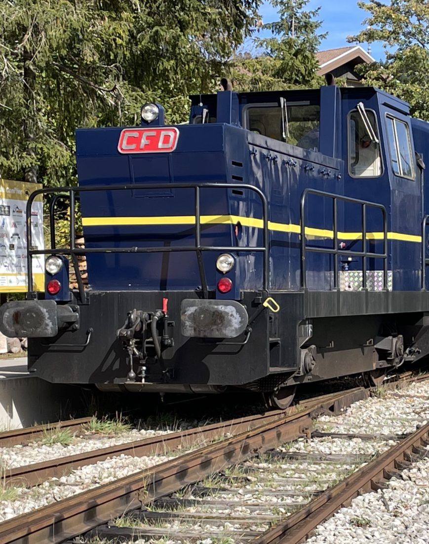 Conifer Locomotive Les Hopitaux Neufs