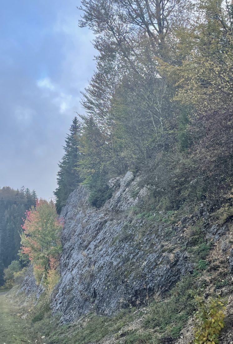 Lac de Remoray automne 